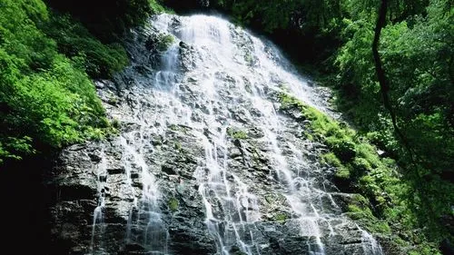 智能智能